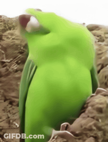 Sad Duck Drawing GIF
