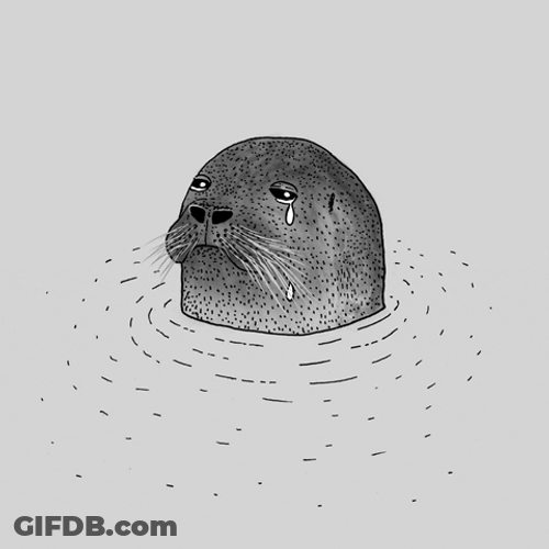 Sad Face Crying Seal GIF