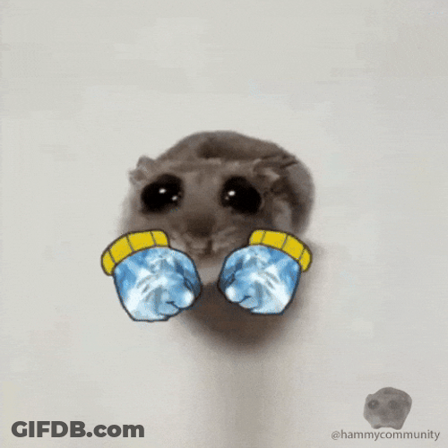 Sad Hamster Boxer GIF
