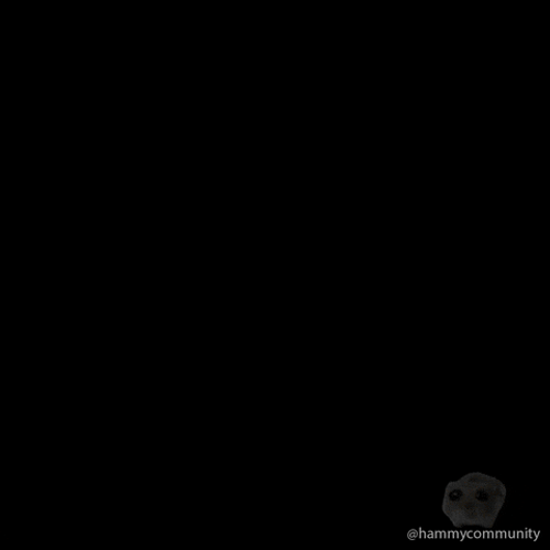 Sad Hamster Compilation GIF