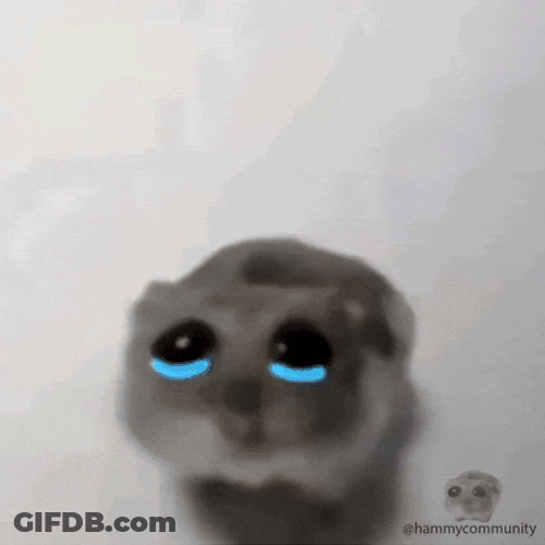 Sad Hamster Crying GIF