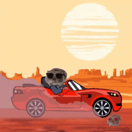 Sad Hamster Driving A Sport Car GIF