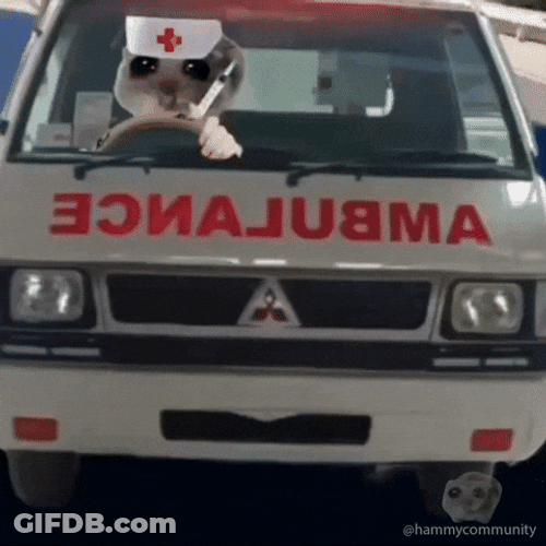 Sad Hamster Driving Ambulance GIF