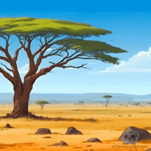 Sad Hamster In The Desert GIF