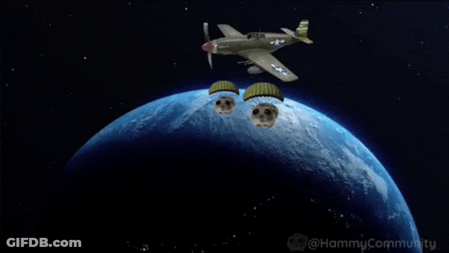 Sad Hamster In The Outer Space GIF