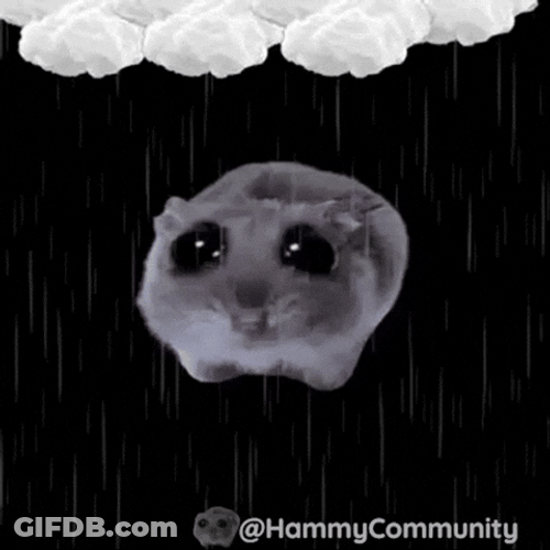 Sad Hamster In The Rain GIF