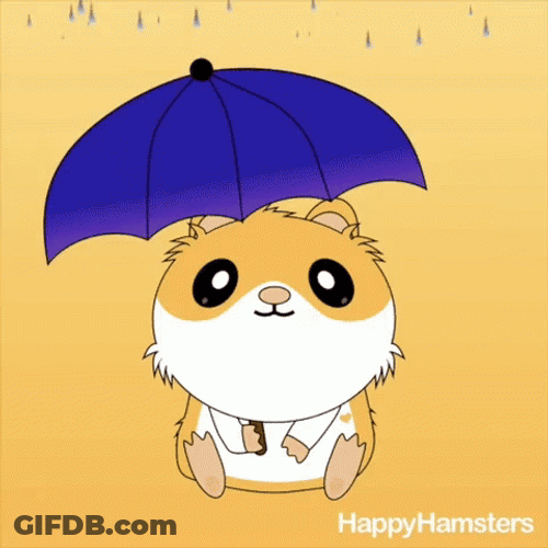 Sad Hamster On Rainy Monday GIF