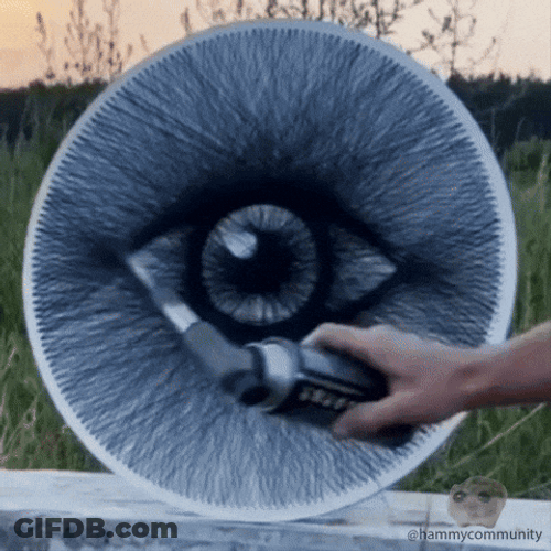 Sad Hamster On The Frame GIF