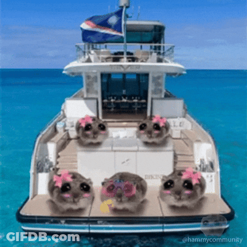 Sad Hamster On The Sea GIF