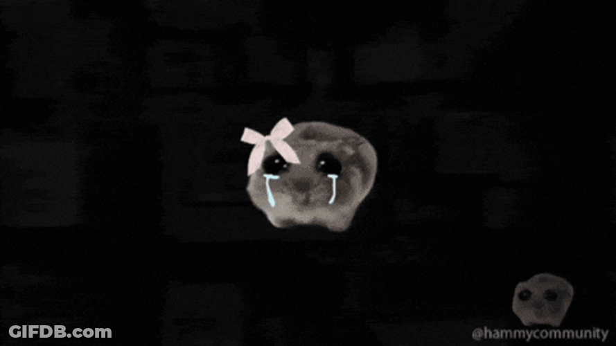 Sad Hamster Outer Space GIF
