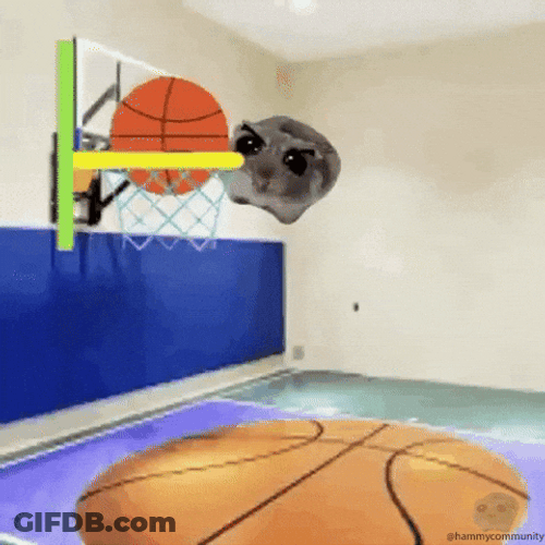 Sad Hamster Playing Basketball GIF