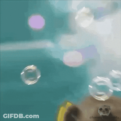 Sad Hamster Scuba Diving GIF