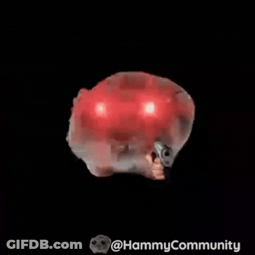 Sad Hamster Shooting GIF