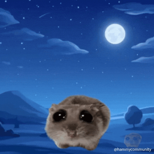Sad Hamster Taken By UFO GIF