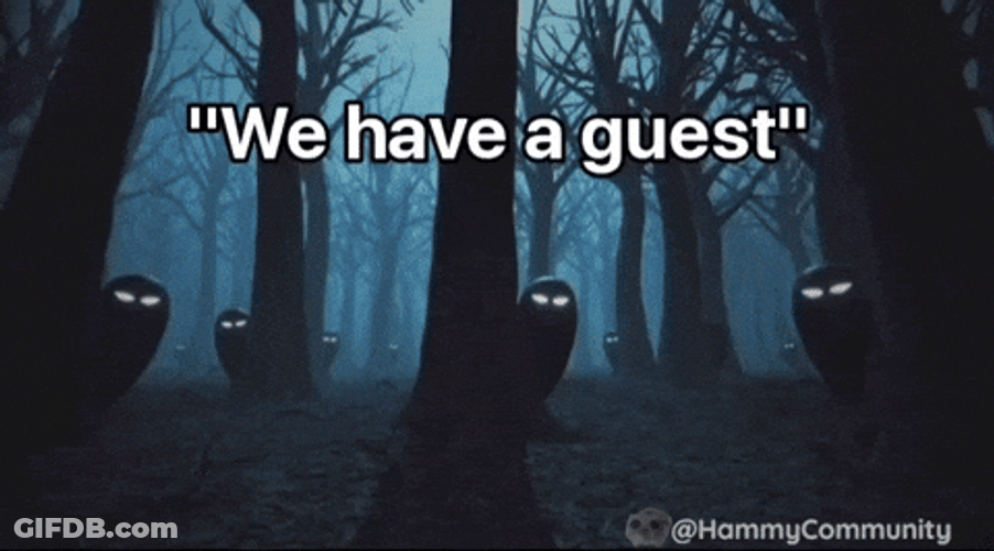 Sad Hamster We Have A Guest GIF