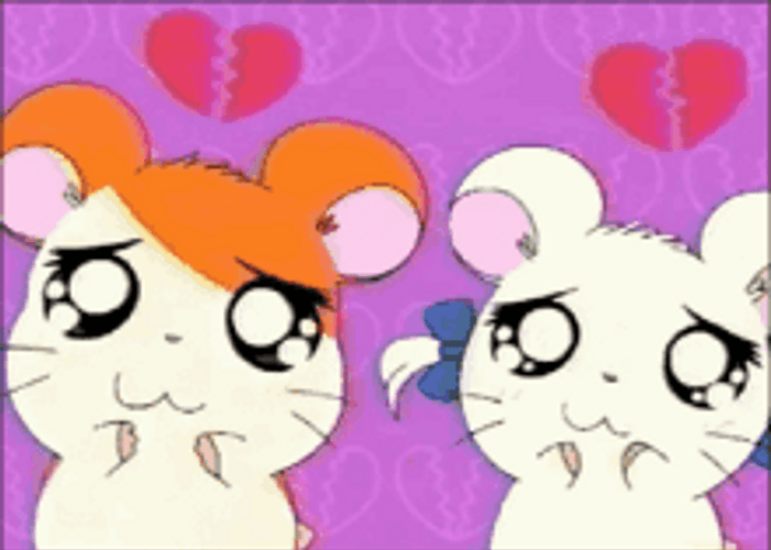 Sad Heartbroken Friends Hamtaro Anime GIF