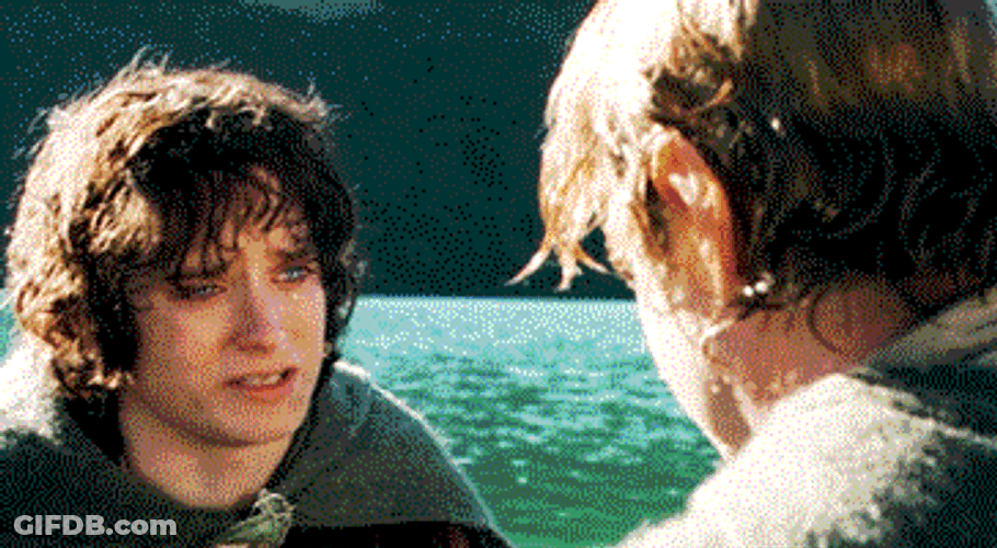 Sad Hug Lord Of The Rings GIF