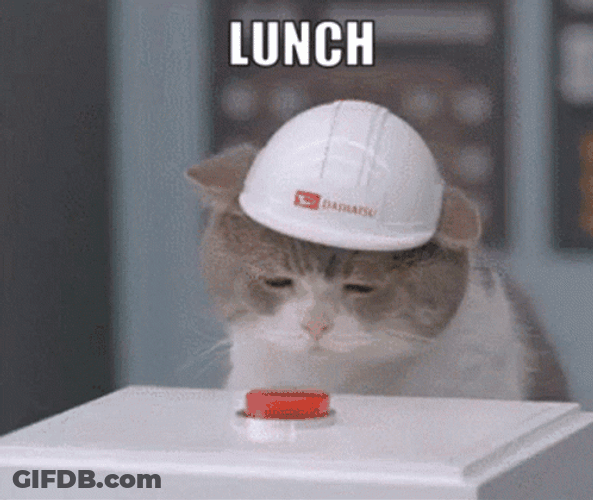Sad Hungry Cat Lunch Time Button GIF