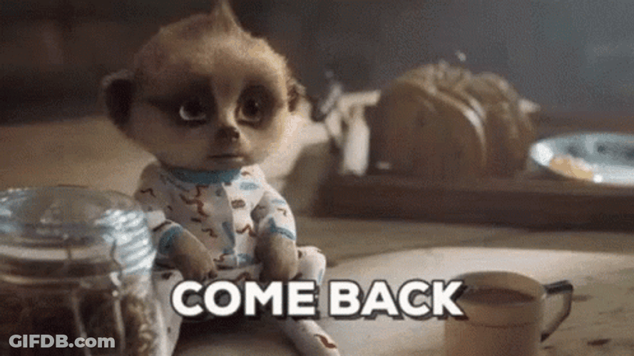 Sad Meerkat Oleg Come Back GIF
