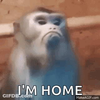 Sad Monkey Saying I'm Home GIF