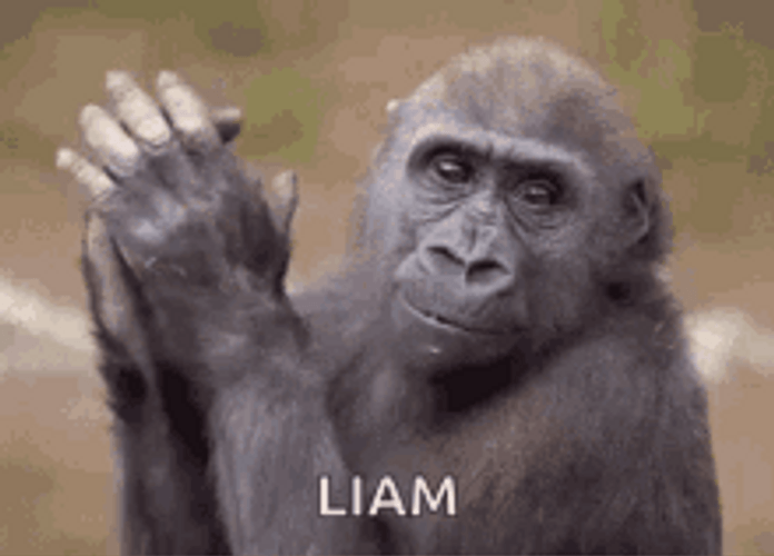 Sad Monkey Slow Clap Eating GIF