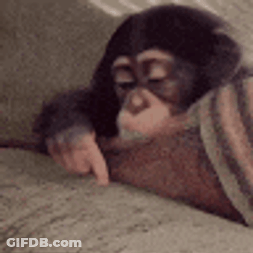 Sad Monkey Wriogifs GIF