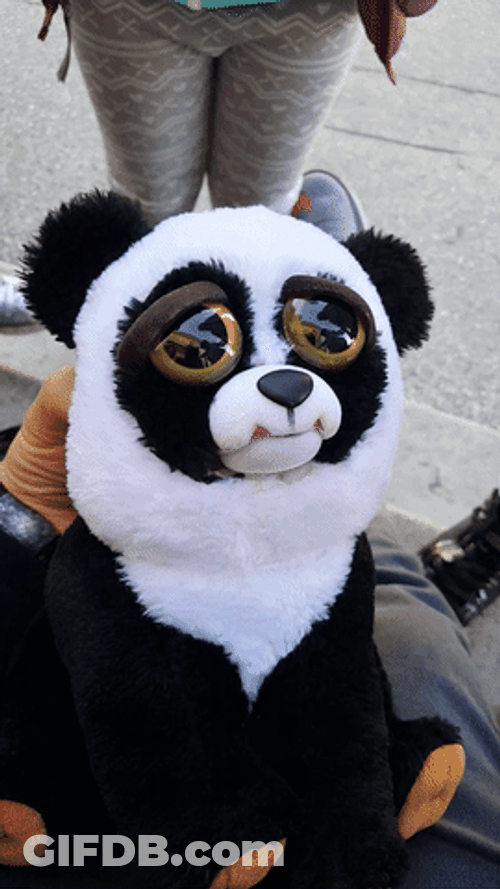 Sad Panda Angry Rawr GIF
