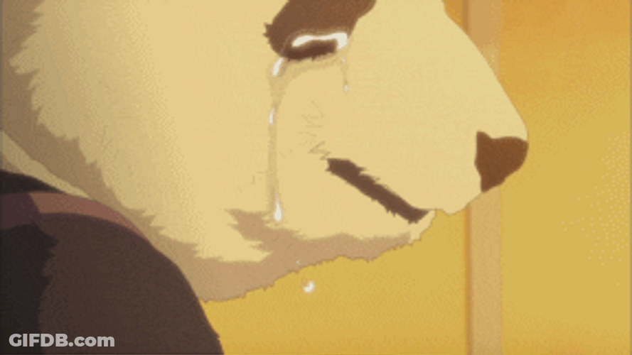 Sad Panda Crying Anime GIF