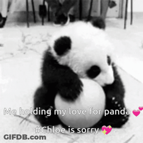 Sad Panda Hugging Snow GIF