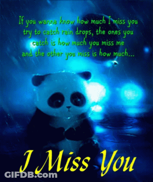 Sad Panda I Miss You GIF