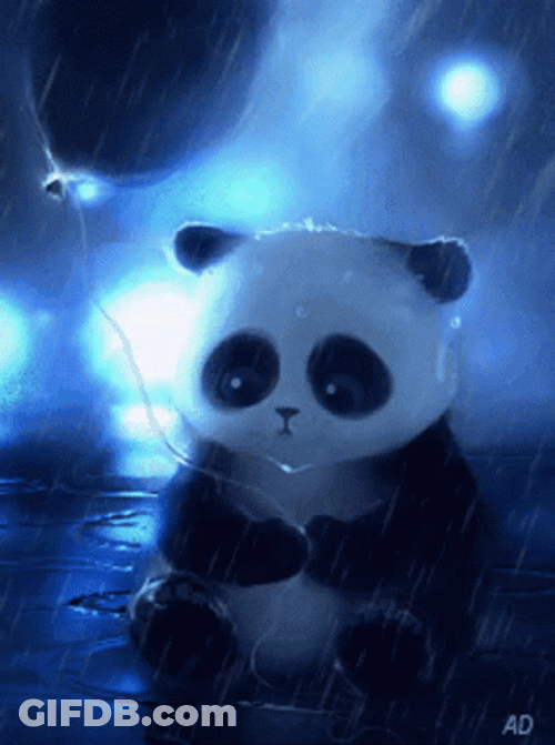 Sad Panda Rainy Day GIF