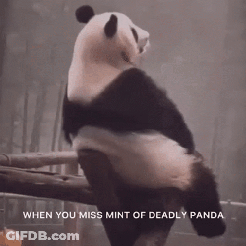 Sad Panda Regret GIF