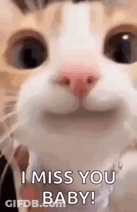 Sad Penguin Sitting At Table With Word Pengu GIF