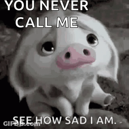 Sad Pig Sitting On Rock Saying You Never Call Me GIF