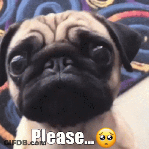 Sad Pug Saying Please GIF