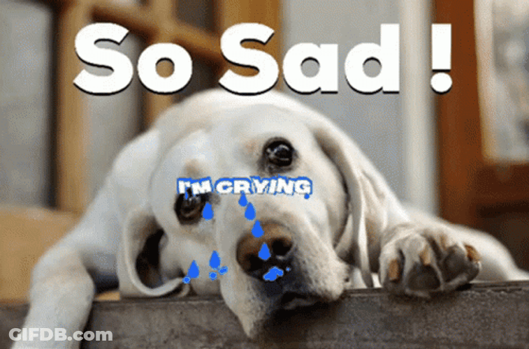 Sad Puppy Crying GIF