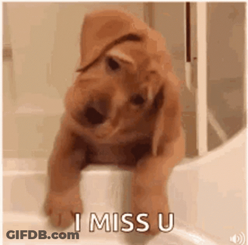 Sad Puppy I Miss U GIF