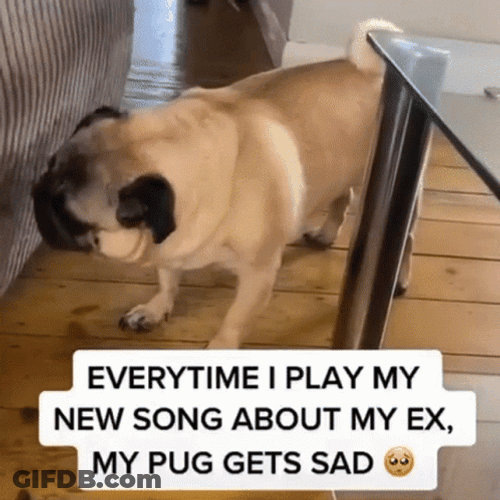 Sad Puppy Pug Sad With Breakup Song GIF