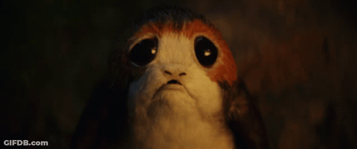 Sad Puppy Watching Bonfire GIF