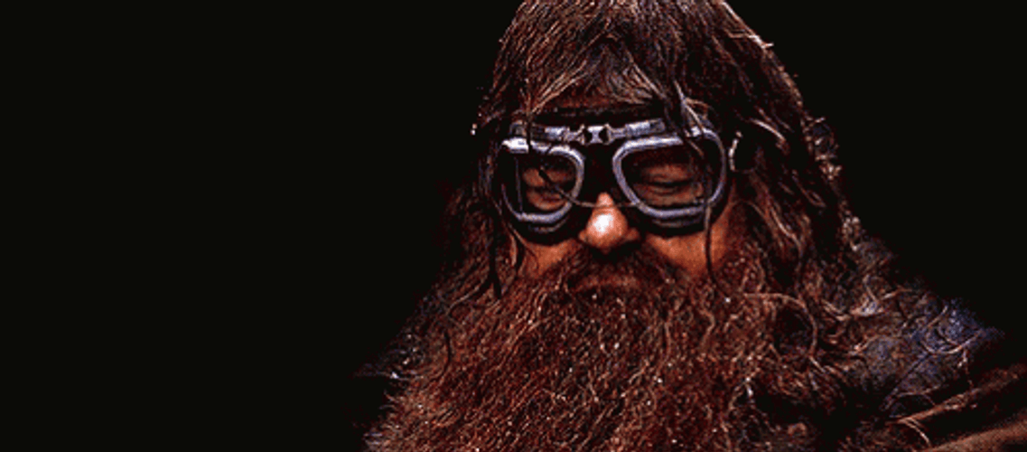 Sad Rubeus Hagrid GIF