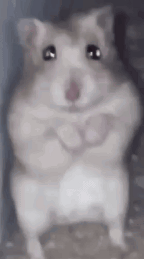 Sad Twinkling Eyes Hampter GIF