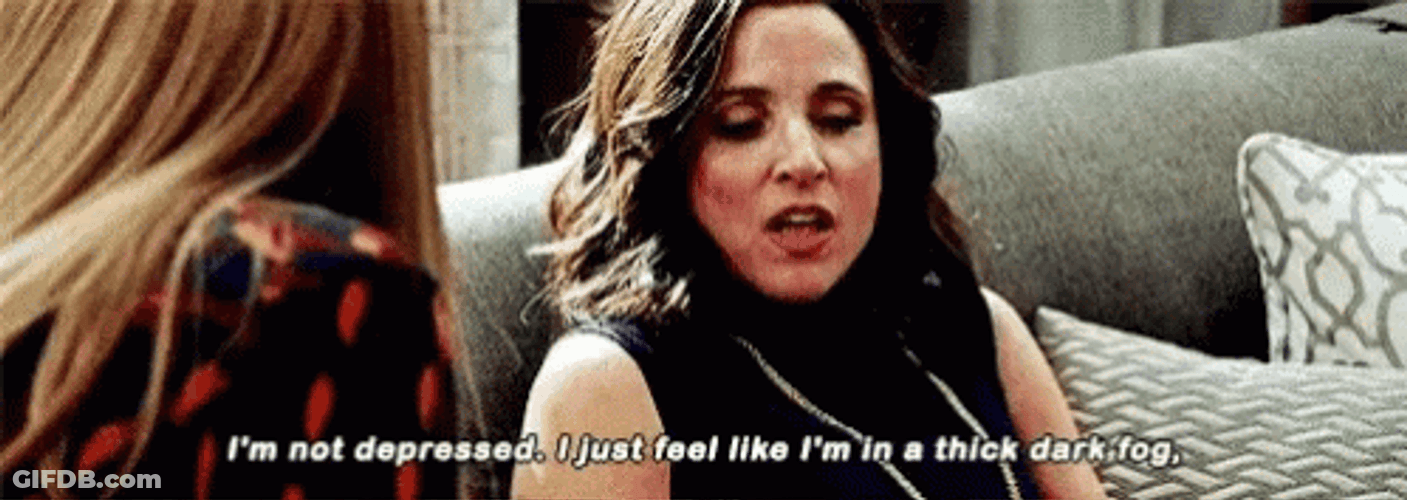 Sad Veep Selina Meyer Not Depressed GIF