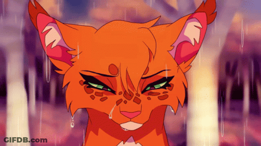 Sad Warrior Cats In The Rain GIF