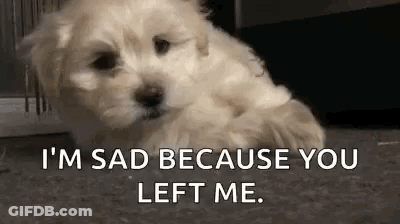 Sad White Puppy Lying On Floor GIF