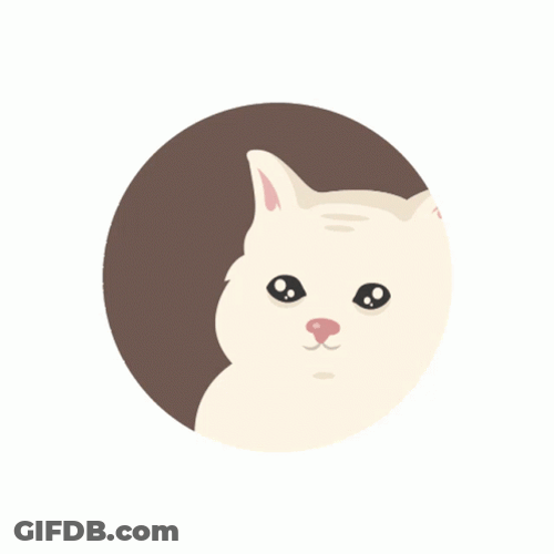 Sad Yes White Cat GIF