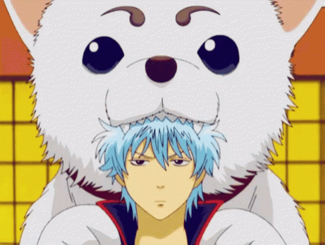Sadaharu Eating Gintoki Sakata Gintama GIF