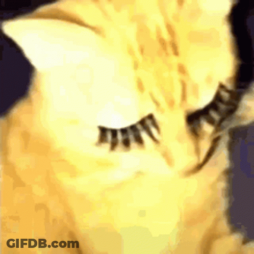 Sadhotgirl GIF