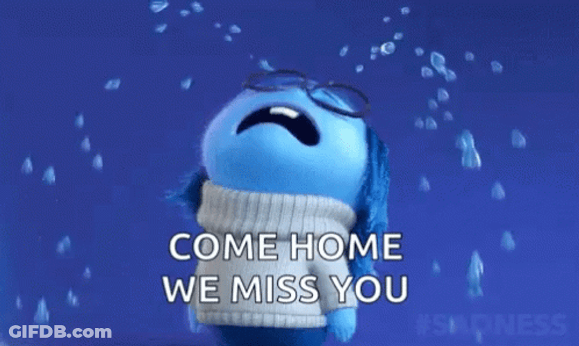 Sadness Crying We Miss You GIF