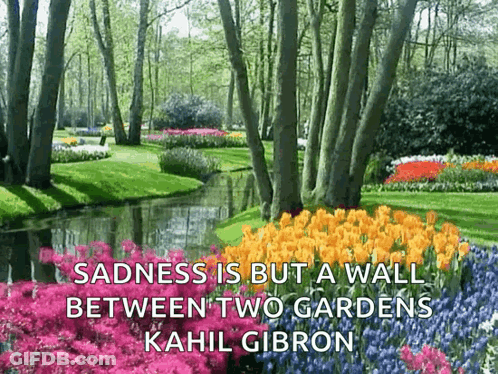 Sadness Is But A Wall Between Two Gardens By Kahlil Gibron GIF