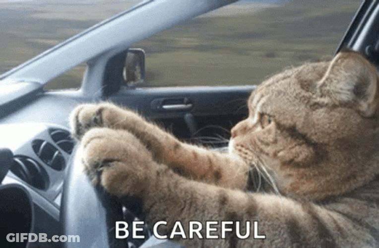 Safe Be Careful Cat Driving Meme GIF